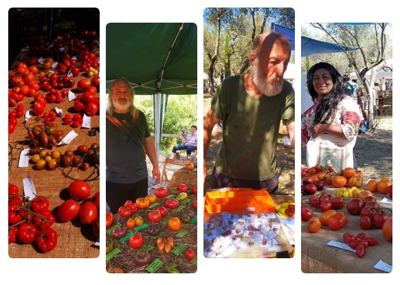 Un mondo di pomodori 